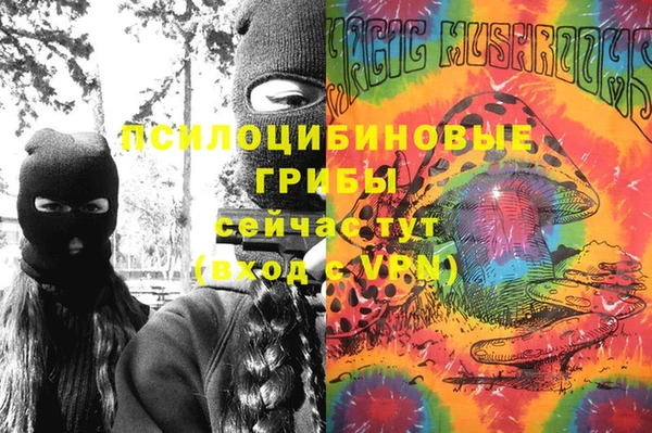 сатива Балахна