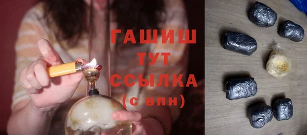 сатива Балахна