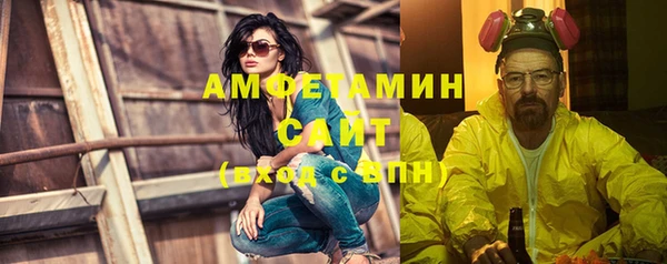 сатива Балахна