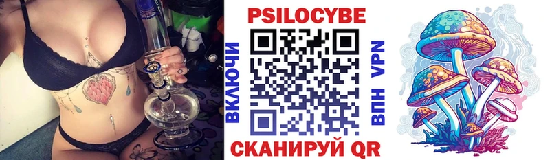 Галлюциногенные грибы Psilocybe  наркошоп  Избербаш 